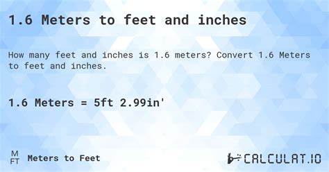 6.06 meters to feet|how tall is 6 meters.